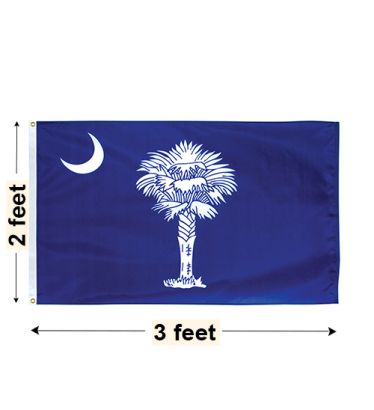 2'x3' South Carolina Nylon Outdoor Flag